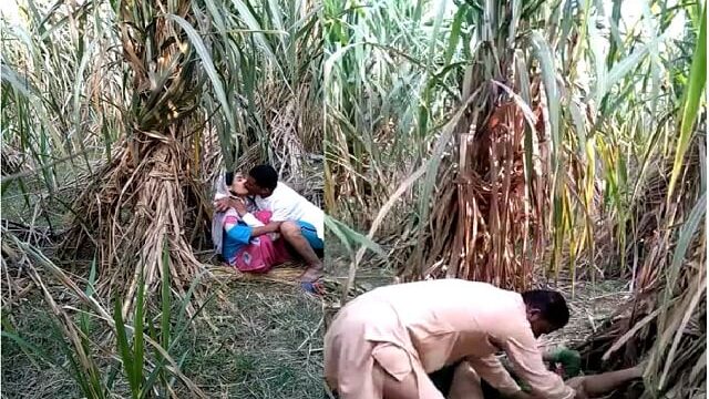 Indian village bhabhi outdoor fucking sex scandal
