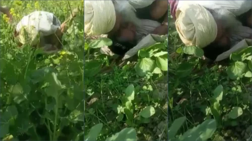 Village old man sex with desi farm aunty hardcore chut mein chudai